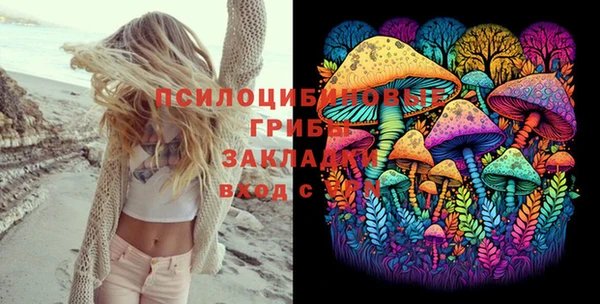 гашик Михайловка