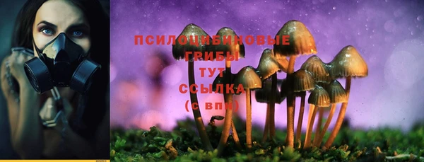 гашик Михайловка