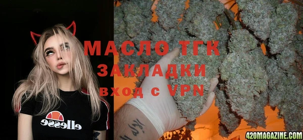гашик Михайловка