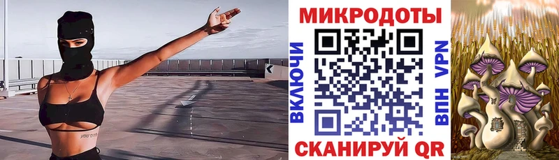 Галлюциногенные грибы Magic Shrooms  Шенкурск 