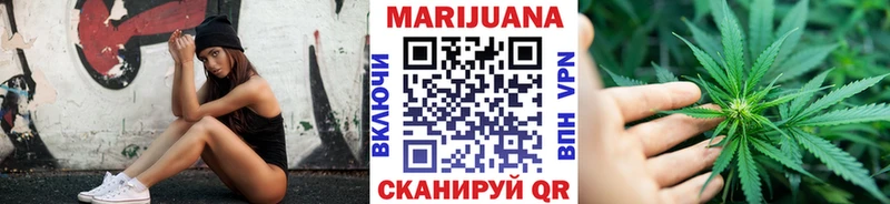 где можно купить   Шенкурск  Каннабис план 